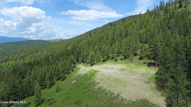 1247 Pintail Dr, Bonners Ferry, ID 83805 - photo 4