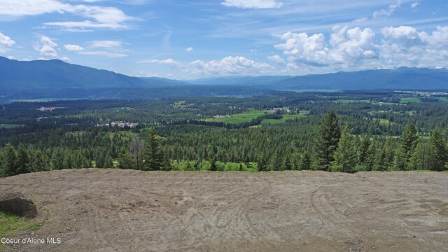 1247 Pintail Dr, Bonners Ferry, ID 83805 - photo 6