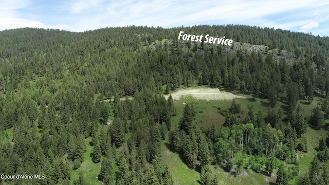1247 Pintail Dr, Bonners Ferry, ID 83805 - photo 7