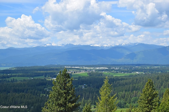 1247 Pintail Dr, Bonners Ferry, ID 83805 - photo 13