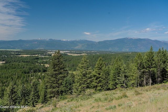 1247 Pintail Dr, Bonners Ferry, ID 83805 - photo 16