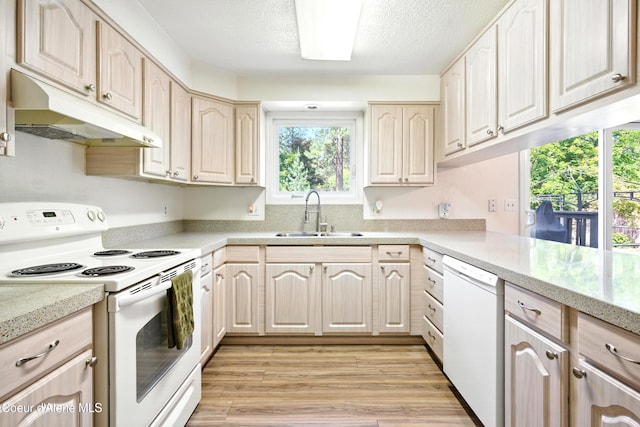 5678 N Pinegrove Dr, Coeur Dalene, ID 83815 - kitchen featuring white appliances, under cabinet range hood, light wood-type flooring, light brown cabinetry, and a textured ceiling
