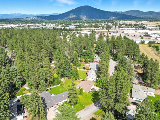 5678 N Pinegrove Dr, Coeur Dalene, ID 83815 - bird's eye view of a mountain backdrop