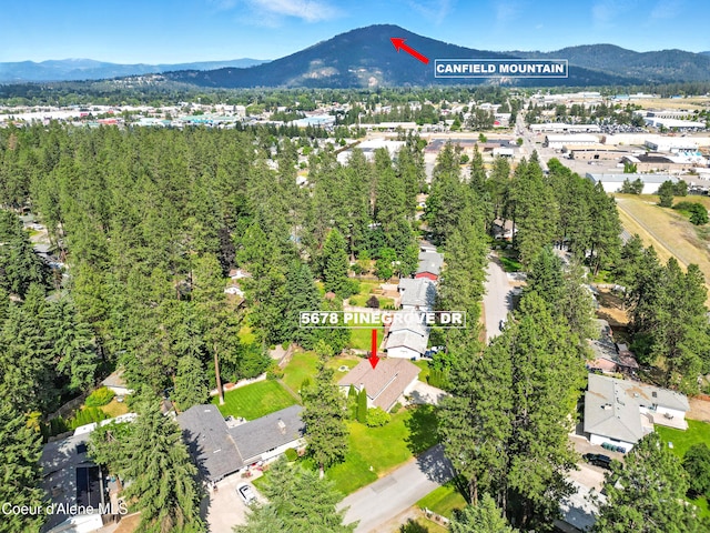 5678 N Pinegrove Dr, Coeur Dalene, ID 83815 - aerial view of mountains