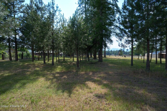 563 Blume Hill Rd, Bonners Ferry, ID 83805 - photo 41