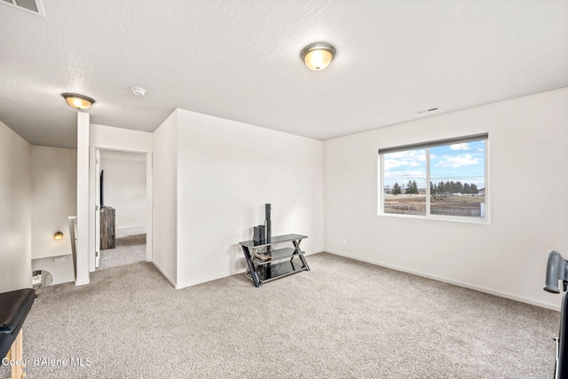 3664 W Belgrave Way, Hayden, ID 83835 - unfurnished living room featuring carpet floors and a textured ceiling