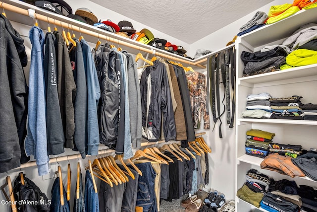 3664 W Belgrave Way, Hayden, ID 83835 - view of walk in closet