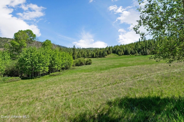 2902 Jewel Lake Rd, Sagle, ID 83860 - photo 4
