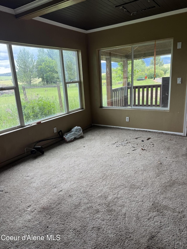 103 2nd St, Tensed, ID 83870 - spare room featuring carpet and crown molding
