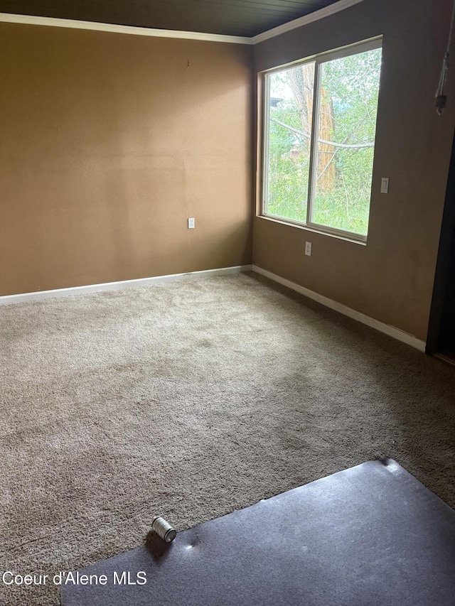 103 2nd St, Tensed, ID 83870 - empty room with carpet flooring and crown molding
