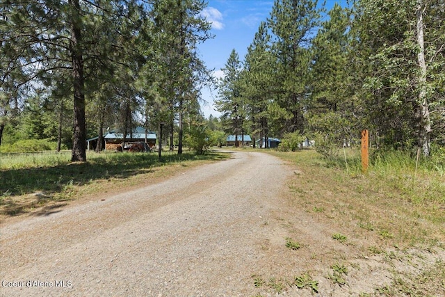 174 Where Its At Rd, Athol, ID 83801 - view of dirt / gravel road