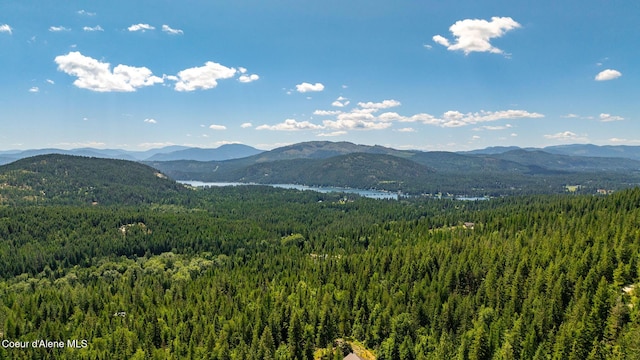 1911 Carr Creek Rd, Sandpoint, ID 83864 - view of mountain backdrop with a forest