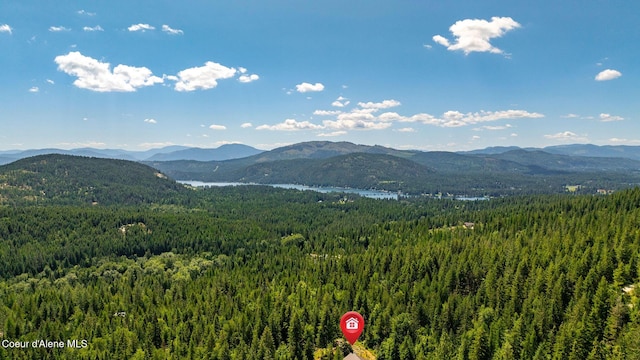 1911 Carr Creek Rd, Sandpoint, ID 83864 - view of mountain backdrop featuring a heavily wooded area
