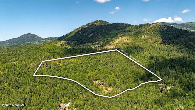 1911 Carr Creek Rd, Sandpoint, ID 83864 - mountain view with a heavily wooded area