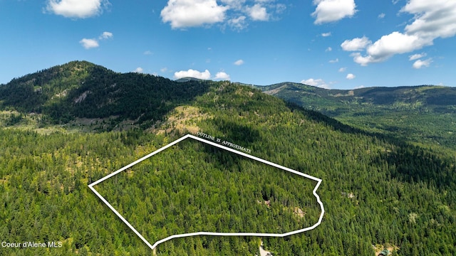 1911 Carr Creek Rd, Sandpoint, ID 83864 - view of mountain backdrop with a heavily wooded area