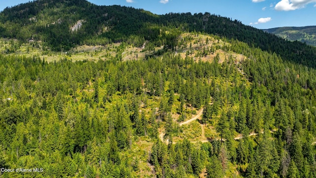 1911 Carr Creek Rd, Sandpoint, ID 83864 - mountain view featuring a forest