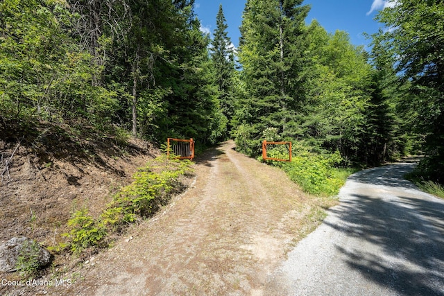 1911 Carr Creek Rd, Sandpoint, ID 83864 - view of road featuring a forest view