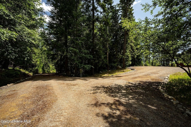 1911 Carr Creek Rd, Sandpoint, ID 83864 - view of dirt / gravel road with a wooded view