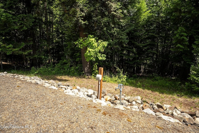 1911 Carr Creek Rd, Sandpoint, ID 83864 - view of yard featuring a view of trees