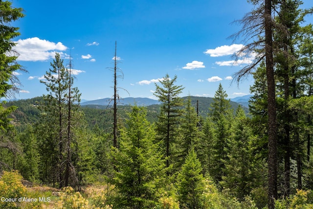 1911 Carr Creek Rd, Sandpoint, ID 83864 - view of mountain backdrop featuring a forest