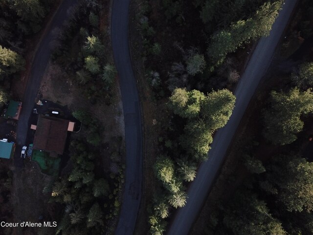 Flying Eagle Dr, Harrison, ID 83833 - photo 2