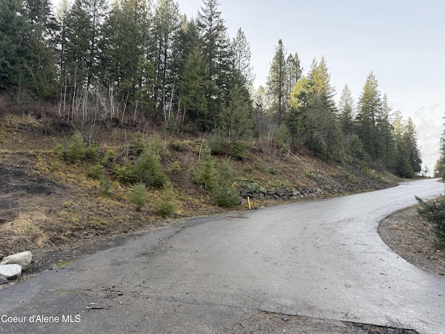 Flying Eagle Dr, Harrison, ID 83833 - photo 3
