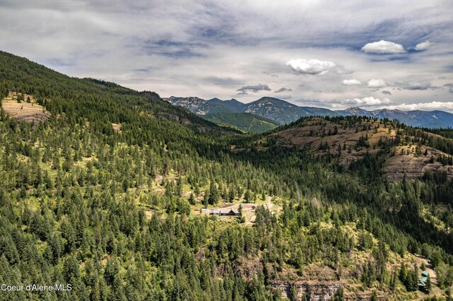 1010 Mc Quade Gulch Dr, Clark Fork, ID 83811 - view of mountain backdrop featuring a heavily wooded area