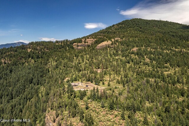 1010 Mc Quade Gulch Dr, Clark Fork, ID 83811 - view of mountain backdrop with a forest