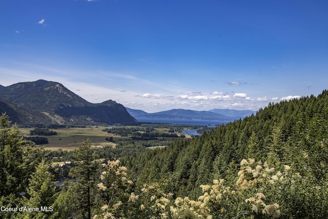1010 Mc Quade Gulch Dr, Clark Fork, ID 83811 - mountain view with a heavily wooded area