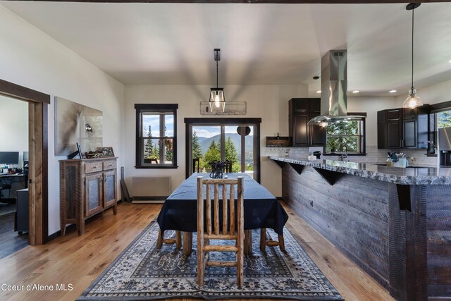 1010 Mc Quade Gulch Dr, Clark Fork, ID 83811 - dining room with light wood-style floors