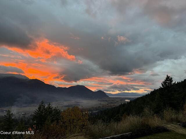 1010 Mc Quade Gulch Dr, Clark Fork, ID 83811 - view of mountain background