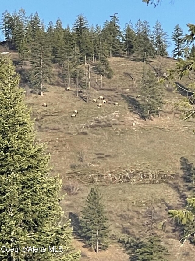 1010 Mc Quade Gulch Dr, Clark Fork, ID 83811 - view of undeveloped land