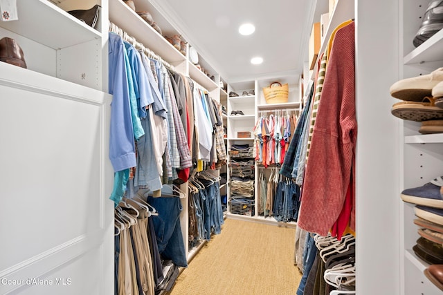 5570 E Dodd Rd, Hayden, ID 83835 - spacious closet featuring light colored carpet