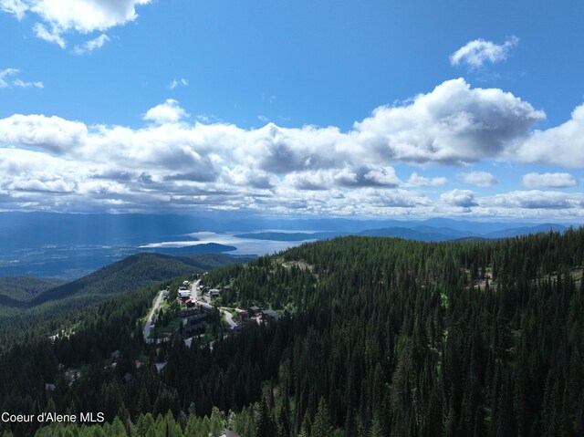 NNA Tall Timber Rd, Sandpoint, ID 83864 - photo 8