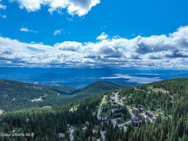 NNA Tall Timber Rd, Sandpoint, ID 83864 - photo 9