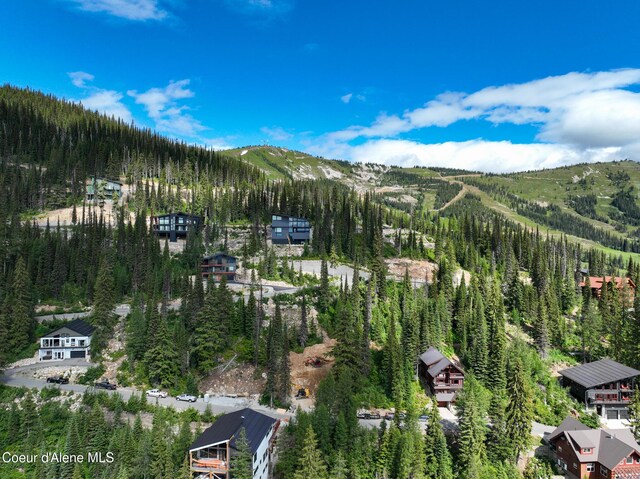 NNA Tall Timber Rd, Sandpoint, ID 83864 - photo 10
