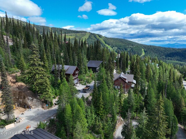 NNA Tall Timber Rd, Sandpoint, ID 83864 - photo 17