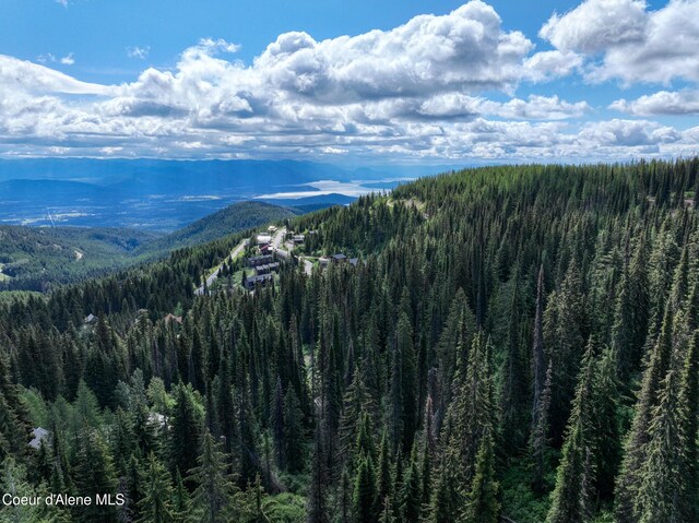 NNA Tall Timber Rd, Sandpoint, ID 83864 - photo 20