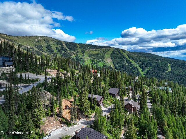 NNA Tall Timber Rd, Sandpoint, ID 83864 - photo 27