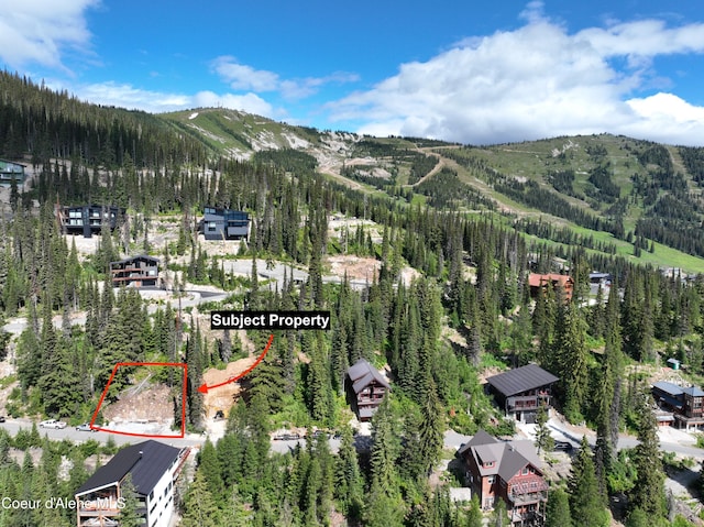 NNA Tall Timber Rd, Sandpoint, ID 83864 - photo 2