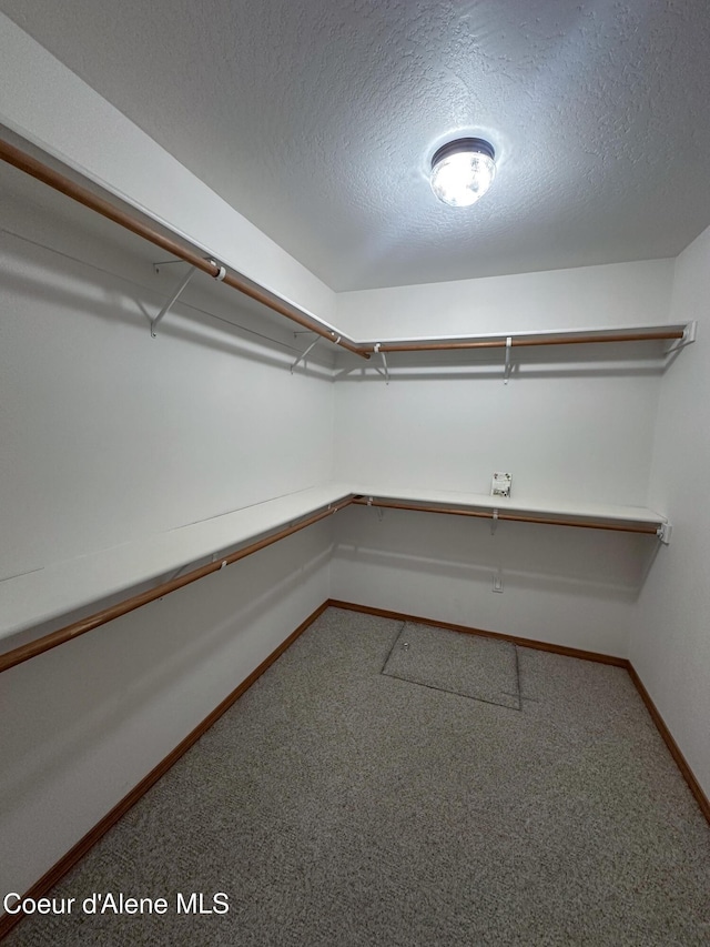 1276 W Edgewood Cir, Coeur Dalene, ID 83815 - spacious closet featuring carpet