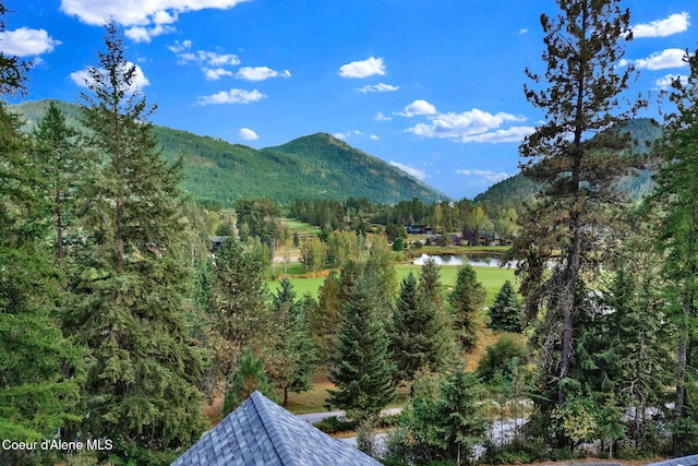 204 N Quail Run, Sandpoint, ID 83864 - photo 49