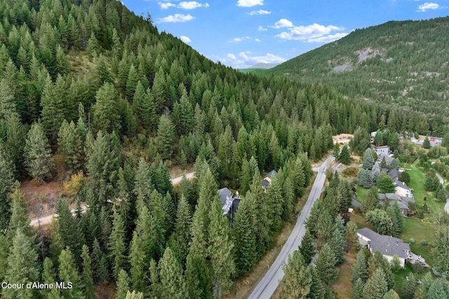 204 N Quail Run, Sandpoint, ID 83864 - photo 51