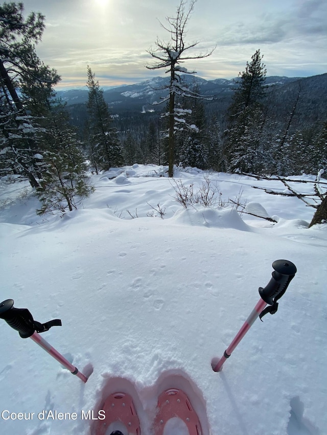 1106 Larch St Unit A, Sandpoint, ID 83864 - snowy yard featuring a mountain view