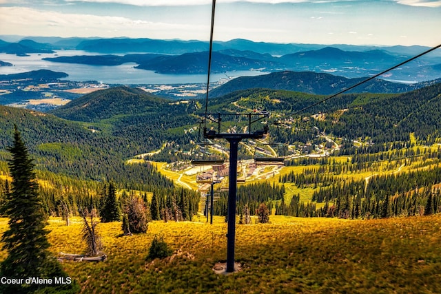 1106 Larch St Unit A, Sandpoint, ID 83864 - view of mountain backdrop with a forest
