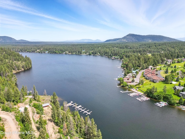 5159 W Village Blvd, Rathdrum, ID 83858 - photo 49