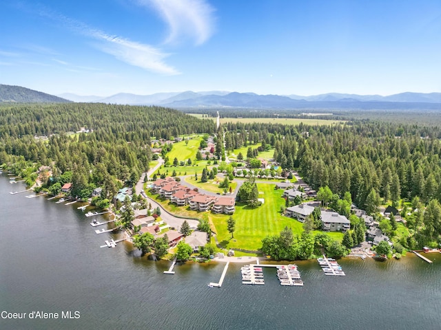 5159 W Village Blvd, Rathdrum, ID 83858 - photo 50