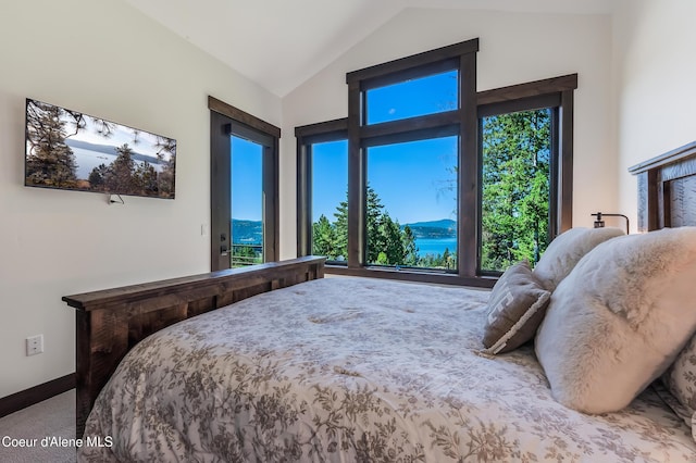 6618 E Shiras Rd, Coeur Dalene, ID 83814 - photo 42