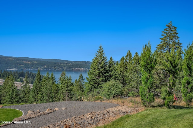 6618 E Shiras Rd, Coeur Dalene, ID 83814 - photo 50