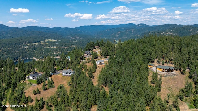 1273 S Grouse Meadow Dr, Coeur Dalene, ID 83814 - view of property location with a forest and a mountain backdrop